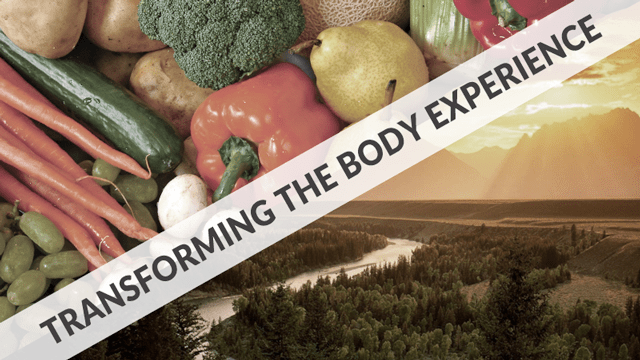 header-radical-transformation-is-it-correct-for-me-part-1-body-experience