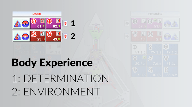 radical-transformation-is-it-correct-for-me-part-1-body-experience