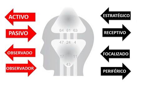 31475616_10214022758456892_3459183101333209088_n copia