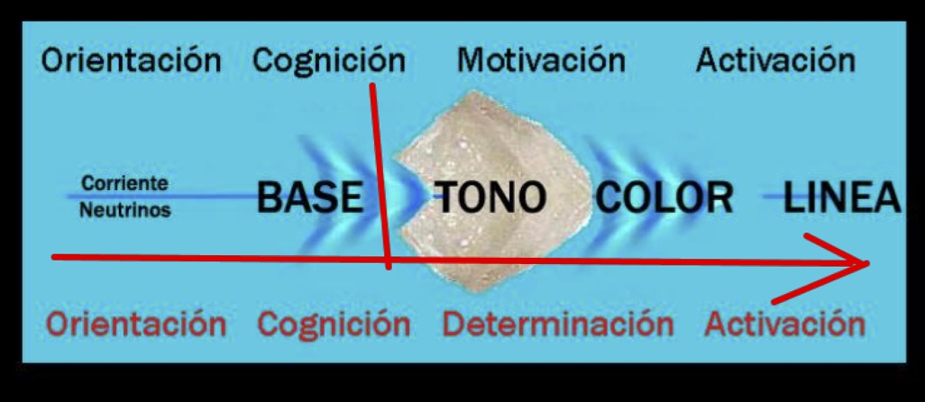 basecolortono2 copia
