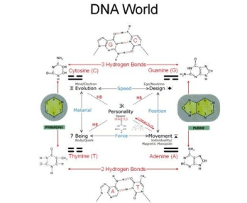 dna