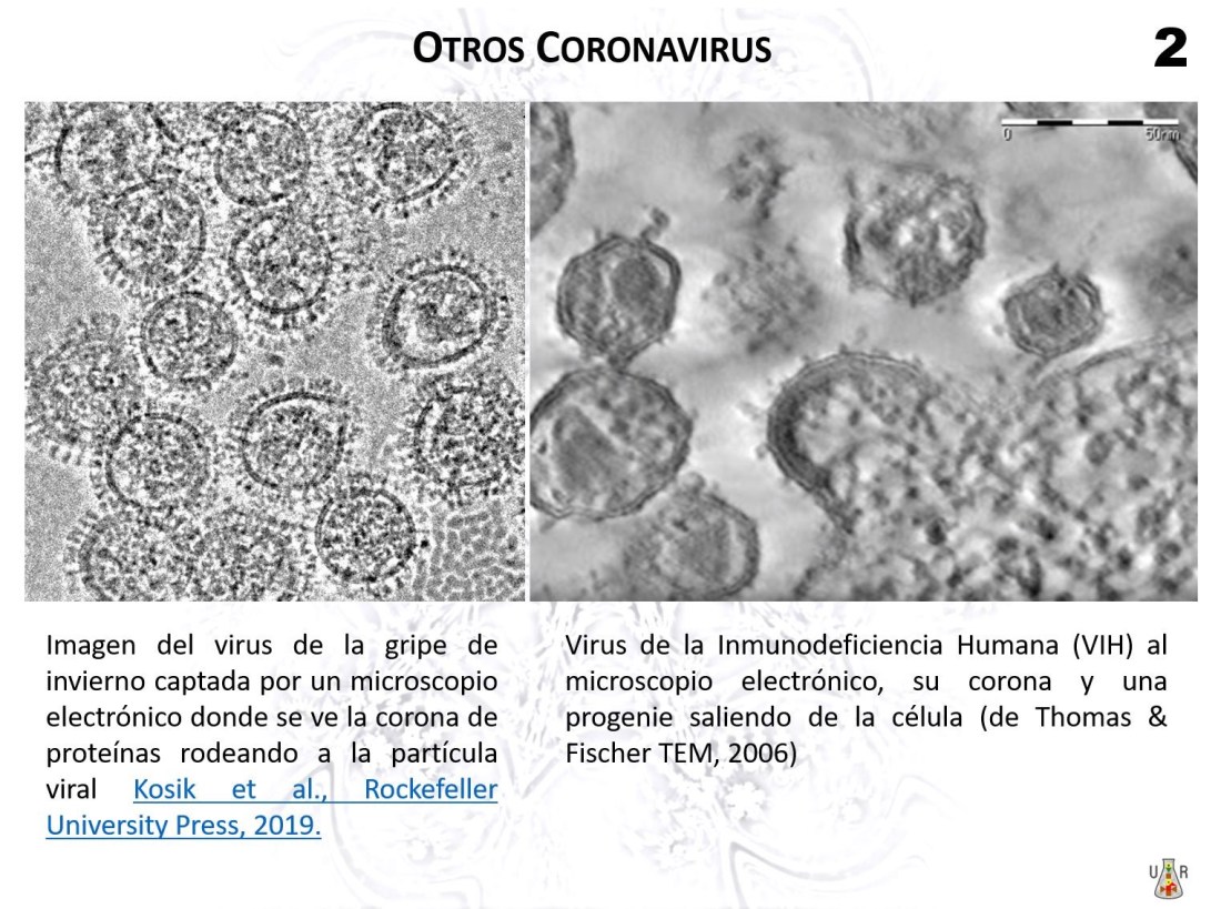 3642D1DD-1142-465D-96E6-649C65988E74