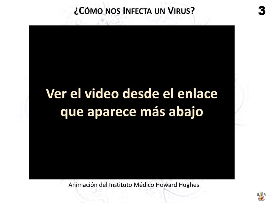 86C611A5-F387-47F9-BB0E-171C74407010