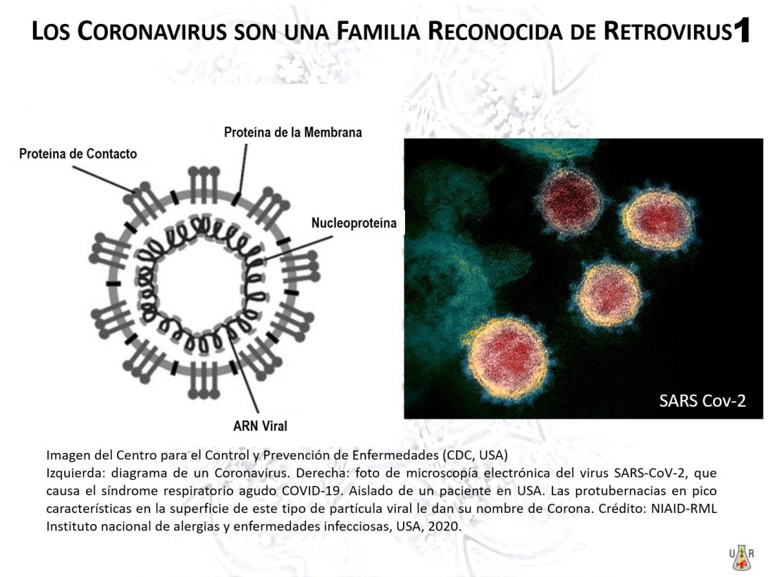 9EA80949-BDB4-4EF9-AADD-0E9D7DAF32C4