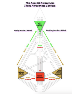 21D940DF-241A-44E0-AA3B-70957A503703