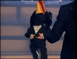 2F6E41B5-4868-43C9-AC19-7631155CE97F