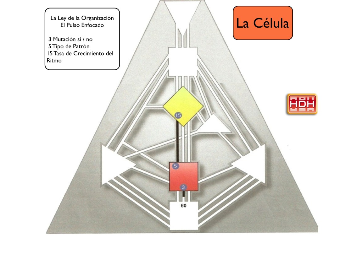 2F27A451-4C97-4AFD-8170-8222B0B80256