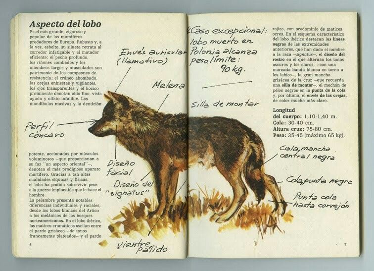 EB77E9E7-7459-4E66-ABF5-8B9AFFB15482